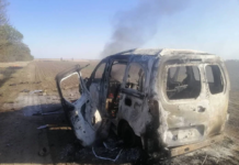 На Херсонщині через агресію РФ знищено понад 5 тисяч гектарів заповідника “Кам’янська Січ”