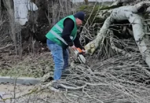 Через негоду у Херсоні попадали дерева — вони заблокували рух на дорогах