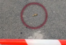 У Херсоні 1 лютого зафіксували нові заміновані ділянки