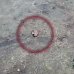 У Херсоні виявили протипіхотні міни на перехресті шосе та однієї з вулиць