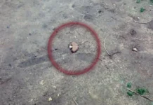 У Херсоні виявили протипіхотні міни на перехресті шосе та однієї з вулиць