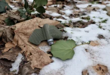 У Херсоні вибухотехніки попри обстріл російських військ ліквідували міни-«пелюстки»