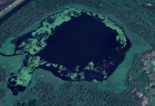 Затоплення, окупація островів. Яка ситуація у нацпарку «Нижньодніпровський» на Херсонщині