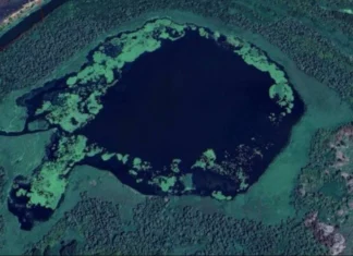 Затоплення, окупація островів. Яка ситуація у нацпарку «Нижньодніпровський» на Херсонщині