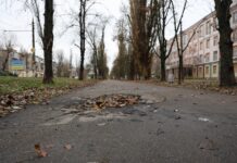 На Мюнхенській конференції представили один із розділів посібника з трансформації цивільного захисту на основі досвіду Херсонщини