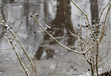 На Херсонщині очікуються дощі з мокрим снігом та ожеледиця, — Гідрометцентр