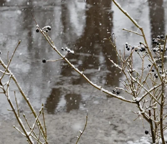 На Херсонщині очікуються дощі з мокрим снігом та ожеледиця, — Гідрометцентр