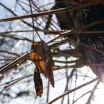 Яка погода очікується в Херсоні та області 28 лютого 2026 року?