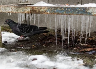 Чи очікувати магнітні бурі 13 лютого 2026 року?