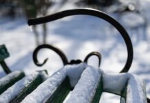 Яка погода очікується в Херсоні та області 19 лютого 2026 року?