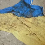 Поліція розслідує вбивство жителя Великої Олександрівки та шукає свідків