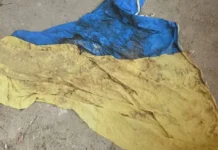 Поліція розслідує вбивство жителя Великої Олександрівки та шукає свідків