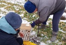 Херсонські метеорологи: запаси вологи в ґрунті подають надію на хороший урожай