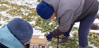 Херсонські метеорологи: запаси вологи в ґрунті подають надію на хороший урожай