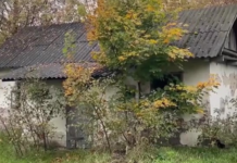Женщина купила дом в селе, а потом снесла его бульдозером (фото)