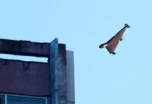 Украинцы будут помогать странам Персидского залива сбивать иранские беспилотники, — Стармер (видео)