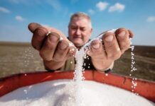 Война на Ближнем Востоке блокирует поставки минудобрений. Миру грозит нехватка продовольствия – FT