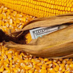 Эффект Тегерана. Как война в Иране поможет украинским аграриям заработать