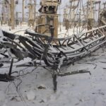 Словения стала 37-м донором Фонда поддержки энергетики Украины: внесла полмиллиона евро