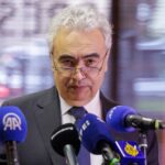 Глава IEA считает экономически и политически неправильным возвращение к российскому газу