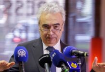 Глава IEA считает экономически и политически неправильным возвращение к российскому газу