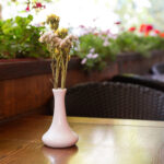 Летние площадки заведений Киева могут начать работу раньше: в КГГА назвали дату