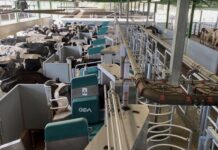 В Киевской области построят крупнейшую в мире роботизированную ферму