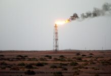 Страны Персидского залива еще больше сократили добычу нефти