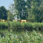 Украина отобрала у Медведчука 9 га на берегу Днепра