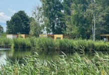 Украина отобрала у Медведчука 9 га на берегу Днепра