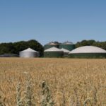 В Украине начал работу шестой завод по производству биометана, ожидается запуск еще одного