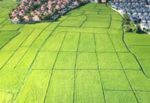 В Украине дорожает земля под застройку и сельское хозяйство