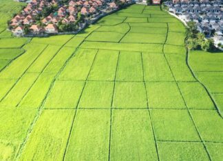 В Украине дорожает земля под застройку и сельское хозяйство