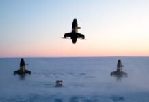 Quantum Systems получила контракт на 15 000 дронов-перехватчиков для Нацгвардии – фото, видео