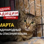 2 марта: какой сегодня праздник, традиции и запреты