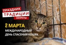2 марта: какой сегодня праздник, традиции и запреты