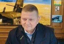 Залужный: именно политическая воля должна определить дальнейшую судьбу войны в Украине