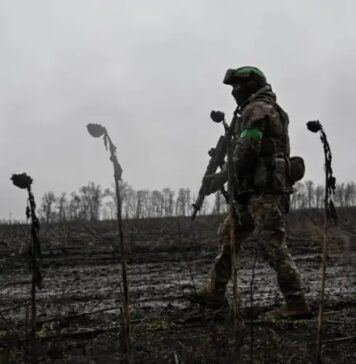 Бросили в дождь «значительные силы»: ВСУ за двое суток уничтожили роту россиян под Покровском (видео)