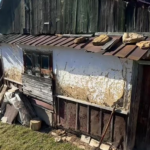 В горах нашли дом бабушки, которая прожила 90 лет без цивилизации: что она рассказывает (фото)