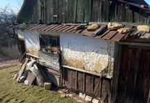 В горах нашли дом бабушки, которая прожила 90 лет без цивилизации: что она рассказывает (фото)