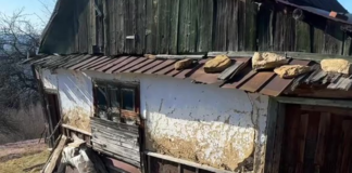 В горах нашли дом бабушки, которая прожила 90 лет без цивилизации: что она рассказывает (фото)