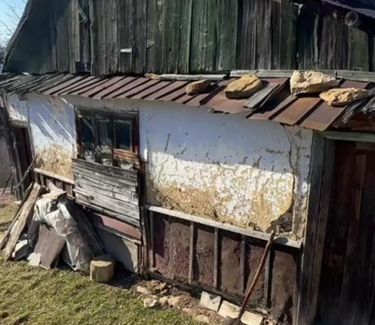 В горах нашли дом бабушки, которая прожила 90 лет без цивилизации: что она рассказывает (фото)