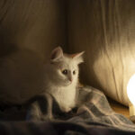 Графики отключений света 16 марта: кого не коснутся ограничения