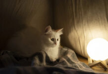 Графики отключений света 16 марта: кого не коснутся ограничения