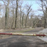 В Германии нашли мертвой молодую украинку: под подозрением несовершеннолетний мигрант из Сирии