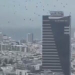 Предвестники настоящей беды: тысячи ворон неожиданно облепили небосклон Тель-Авива (видео)