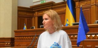 Межведомственная рабочая группа может стать инструментом в борьбе с внешним вмешательством в выборы — вице-спикер Рады