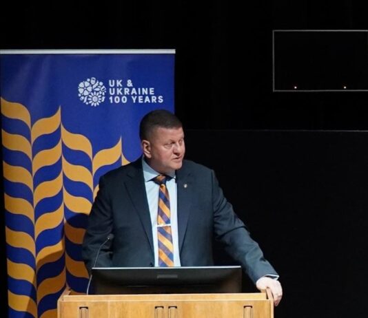 Залужный и Буданов возглавляют рейтинг доверия к политикам и общественным деятелям — опрос Socis