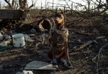 Знайшла понад 170 людей. Померла собака-рятівниця, яку залучали до місій, зокрема на Херсонщині