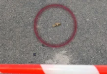 Вдруге за день у Херсоні дистанційно замінували одну з вулиць